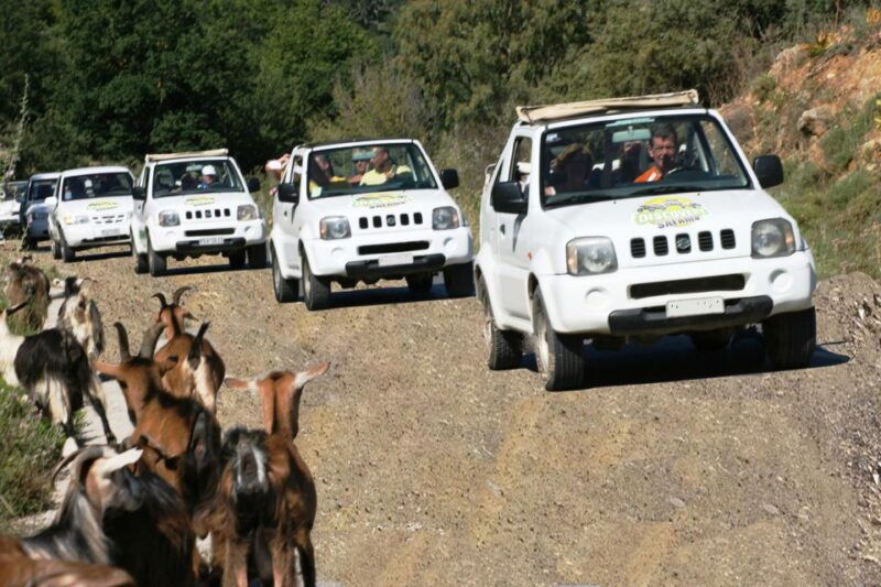 self-drive-jeep-safari-to-south-coast-palm-beach-canyons