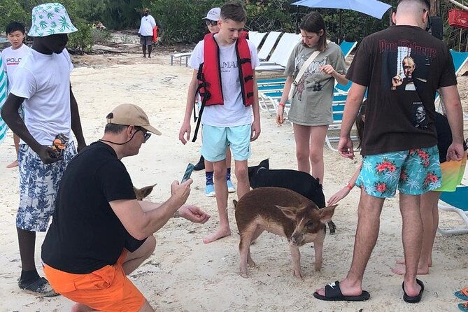 self-drive-speedboat-and-swim-with-the-pigs
