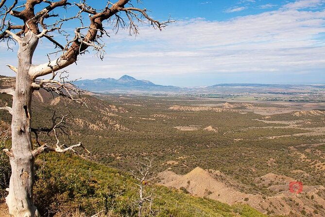 self-guided-audio-driving-tour-in-mesa-verde-national-park