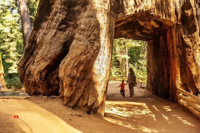 self-guided-audio-driving-tour-in-yosemite-2