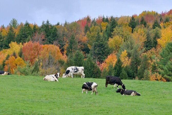 self-guided-audio-driving-tour-of-vermont-rt100-scenic-byway