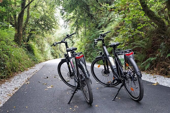 self-guided-bike-tour-on-the-limerick-greenway
