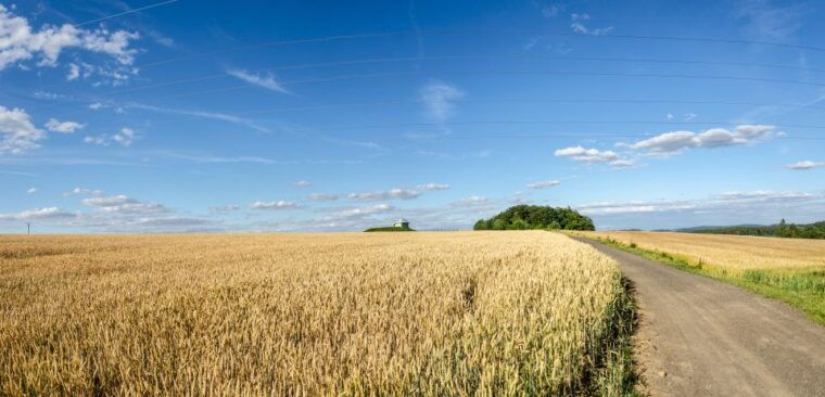 self-guided-bike-tour-to-konopiste-castle