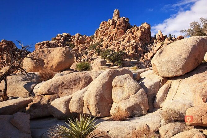 self-guided-driving-audio-tour-in-joshua-tree-national-park