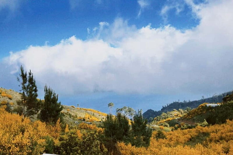Self-Guided E-Bike Road Tour - Camacha to Monte with Lunch - Key Points