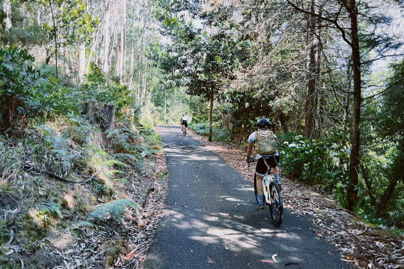 Self-Guided E-Bike Road Tour - Camacha to Monte with Lunch - An Overview of the Self-Guided E-Bike Experience