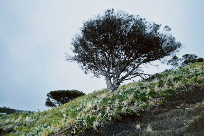 self-guided-e-bike-road-tour-from-funchal-to-garajau