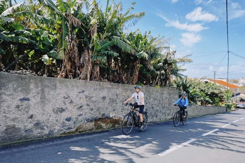 Self-Guided E-Bike Road Tour - Funchal to Câmara de Lobos - Practical Details & Value