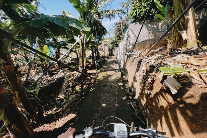 Self-Guided E-Bike Road Tour - Funchal to Câmara de Lobos - FAQ