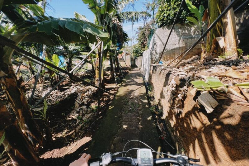 self-guided-e-bike-road-tour-funchal-to-camara-de-lobos