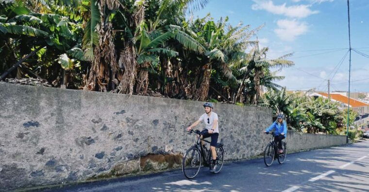 self-guided-e-bike-road-tour-funchal-to-camara-de-lobos