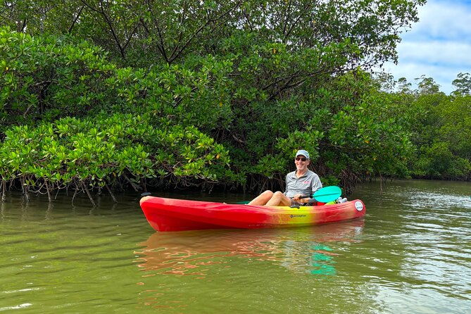 self-guided-ecotour-clear-standard-kayaks-bonita-springs