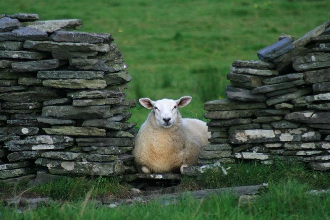 self-guided-electric-bike-tour-of-historical-sites-in-the-burren-co-clare