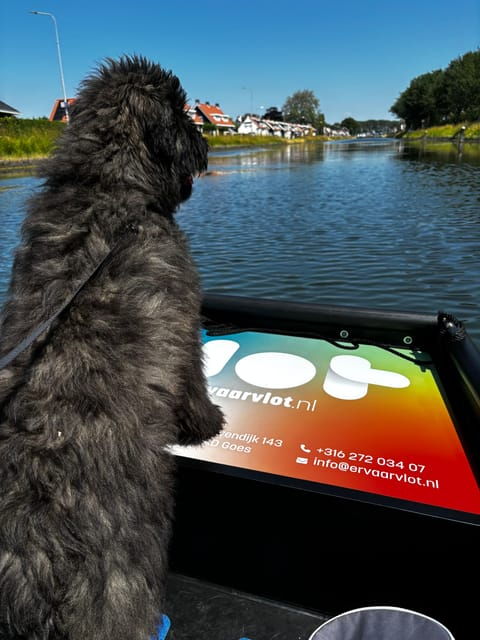 self-guided-electric-boat-rental