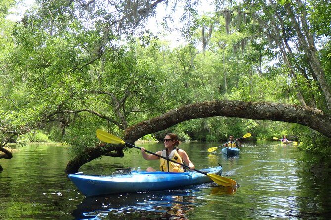 Self Guided Family Friendly Kayak Rental Experience Old Florida - Discovering the Beauty of Old Florida by Kayak