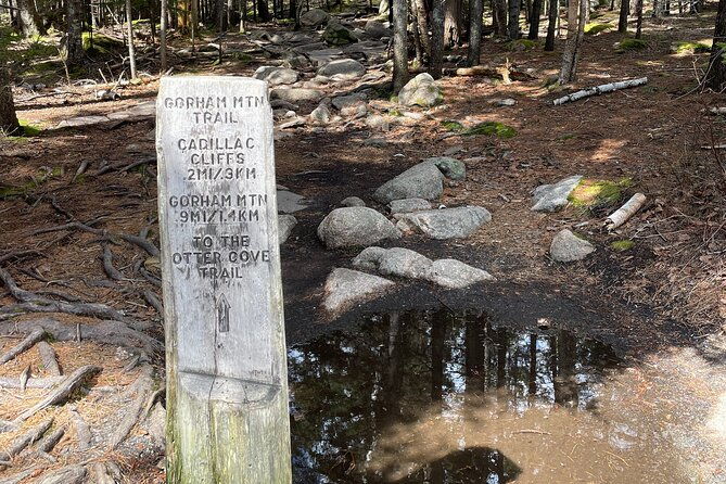 self-guided-gps-audio-driving-tour-acadia-np-from-hulls-cove-vc
