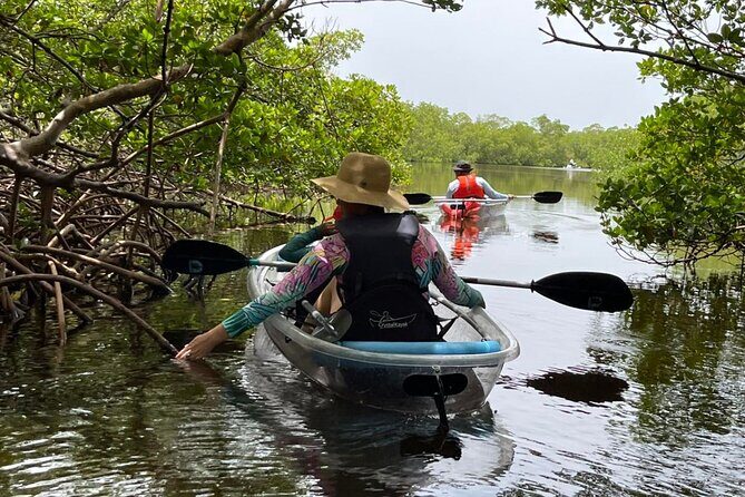 Self-Guided Island Tour: CLEAR/Standard Kayak, SUP-Bonita Springs - A Detailed Look at the Experience