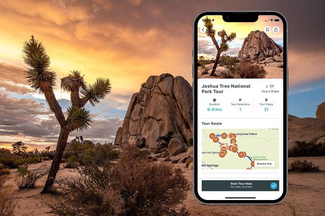 self-guided-joshua-tree-national-park-driving-tour