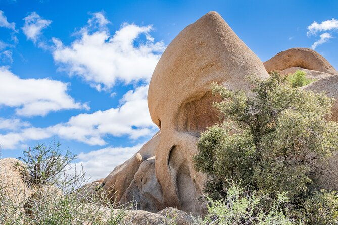 self-guided-joshua-tree-national-park-driving-tour