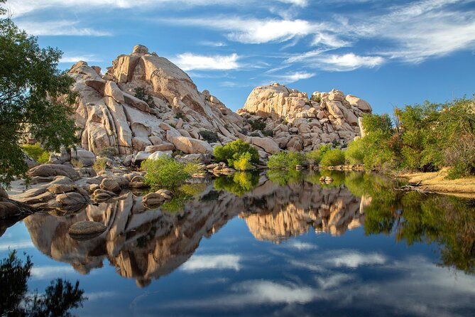 self-guided-joshua-tree-national-park-driving-tour