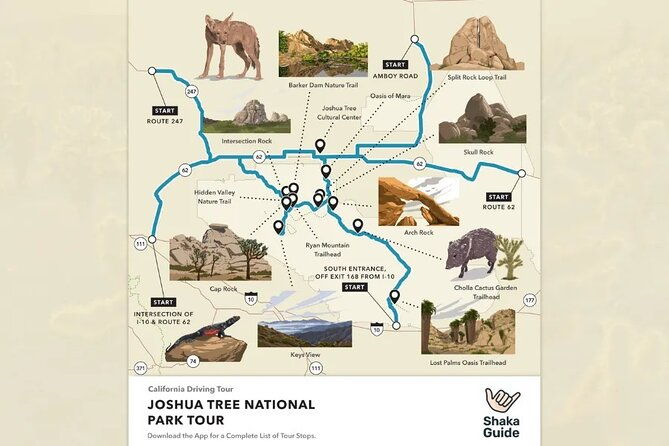 self-guided-joshua-tree-national-park-driving-tour