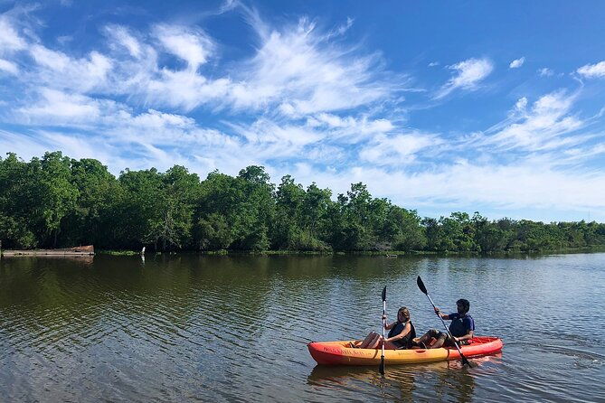 self-guided-kayak-bayou-swamp-tour