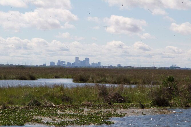 self-guided-kayak-bayou-swamp-tour