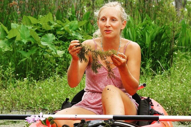 self-guided-kayak-bayou-swamp-tour