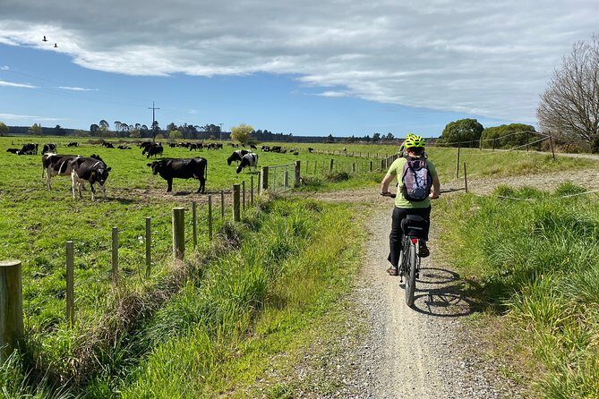 Self-Guided Nelson to Mapua Cycle Adventure - What to Keep in Mind