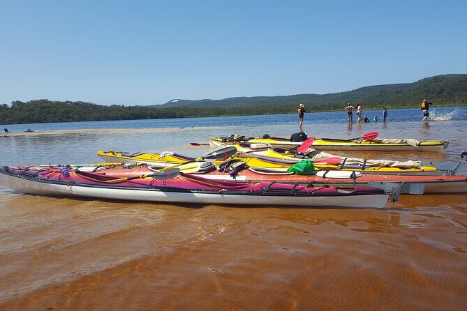 Self-Guided Noosa Everglades Kayak Tour - An Honest Look at the Experience