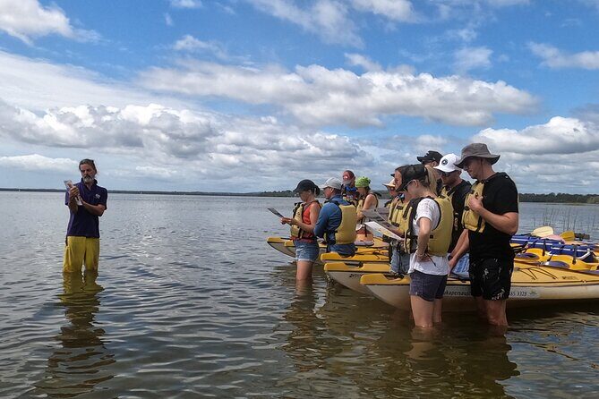 Self-Guided Noosa Everglades Kayak Tour - Final Thoughts