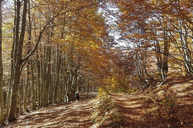 self-guided-peaks-of-the-balkans-tour-in-8-days