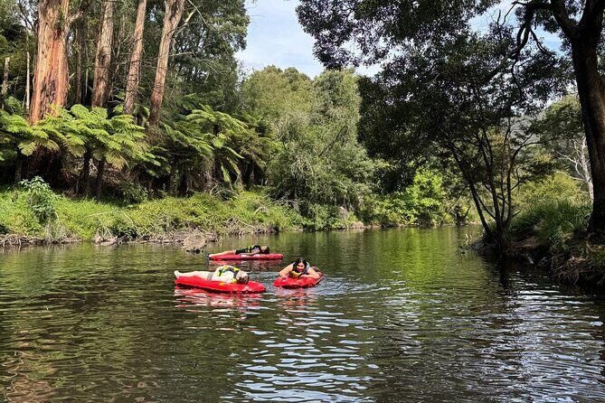Self-Guided River Sledding Adventure on the Yarra River - Summary
