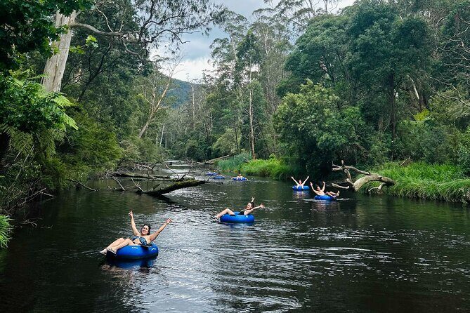 Self-Guided River Tubing Adventure on the Yarra River - The Natural Obstacles and Paddling