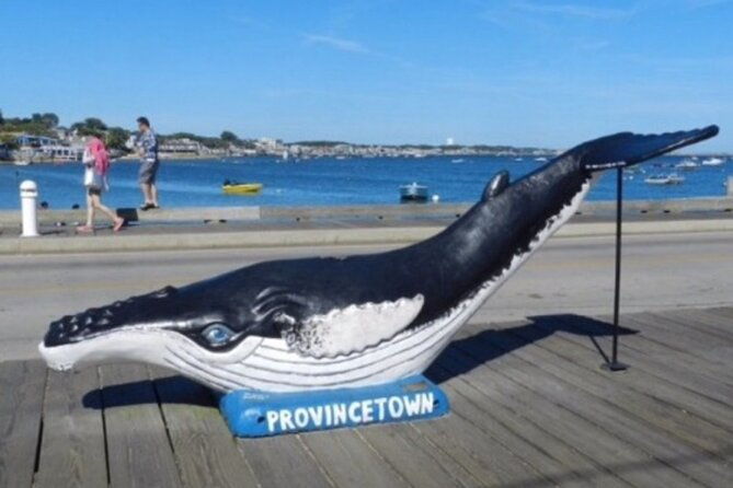 self-guided-scavenger-hunt-the-crown-jewel-of-cape-cod