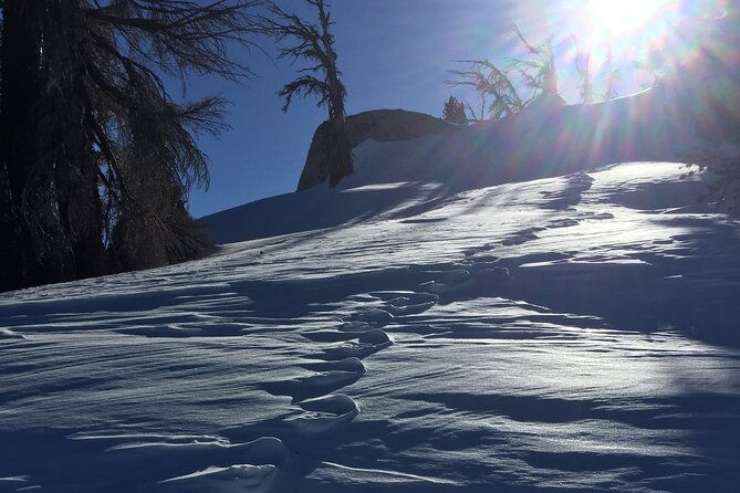self-guided-snowshoe-experience-at-lake-tahoe