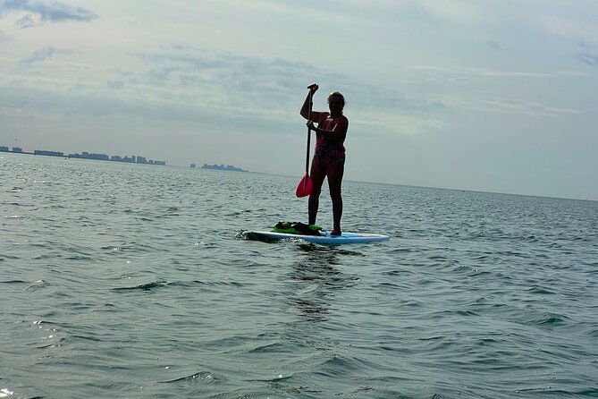self-guided-standup-paddle-board-ecotour-bonita-springs