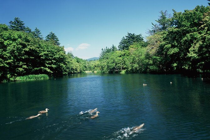 self-guided-tour-in-karuizawa-with-bullet-train-ticket