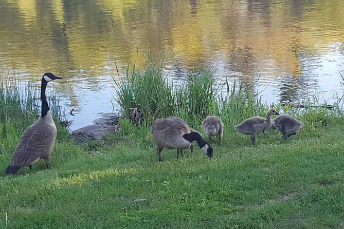 self-guided-walking-tour-of-benson-park-hudson-nh