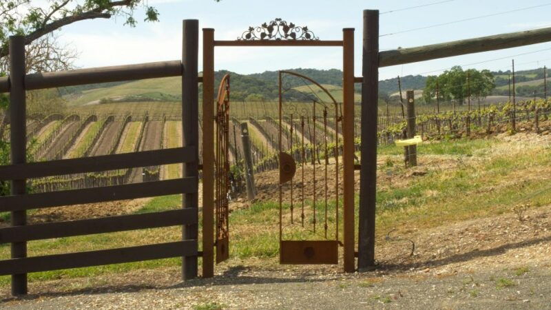 self-guided-wine-tasting-audio-tour-paso-robles-ca