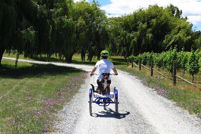 Self-Guided Wine Tours by Bike with Lorelle & Greg - Why This Tour Offers Great Value