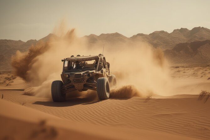 Self-Ride Polaris Desert Buggy Tour With Free Desert Safari - Practical Details and Tips