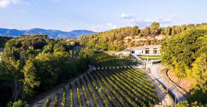 Self tour of the olive oil mill & olive oil tasting - Who Will Love This Tour?