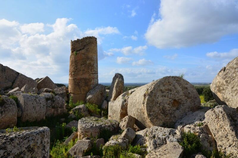 selinunte-archeological-park-entry-ticket-and-pemcards