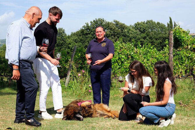 sella-delle-spine-taurasi-tasting-vineyard-and-cellar-tour
