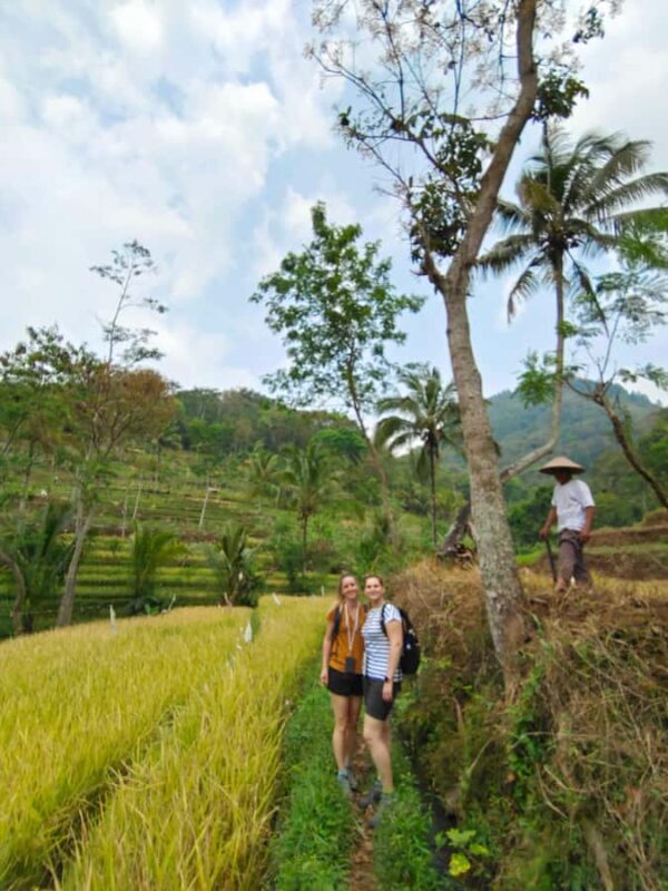 Selogriyo Temple and treking Java Rice Terrace and waterfall - Key Points