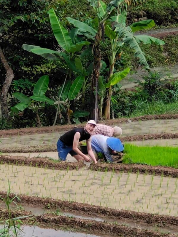 Selogriyo Temple and treking Java Rice Terrace and waterfall - The Sum Up