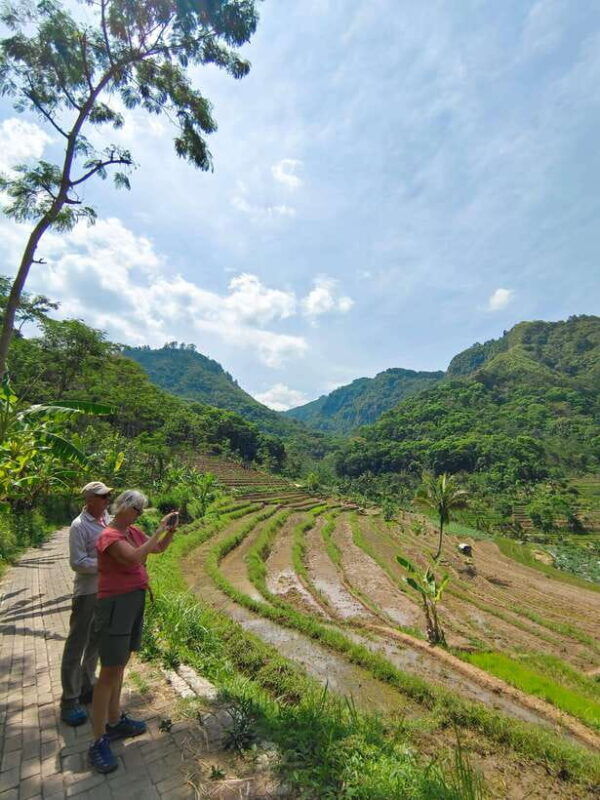 selogriyo-temple-and-treking-java-rice-terrace