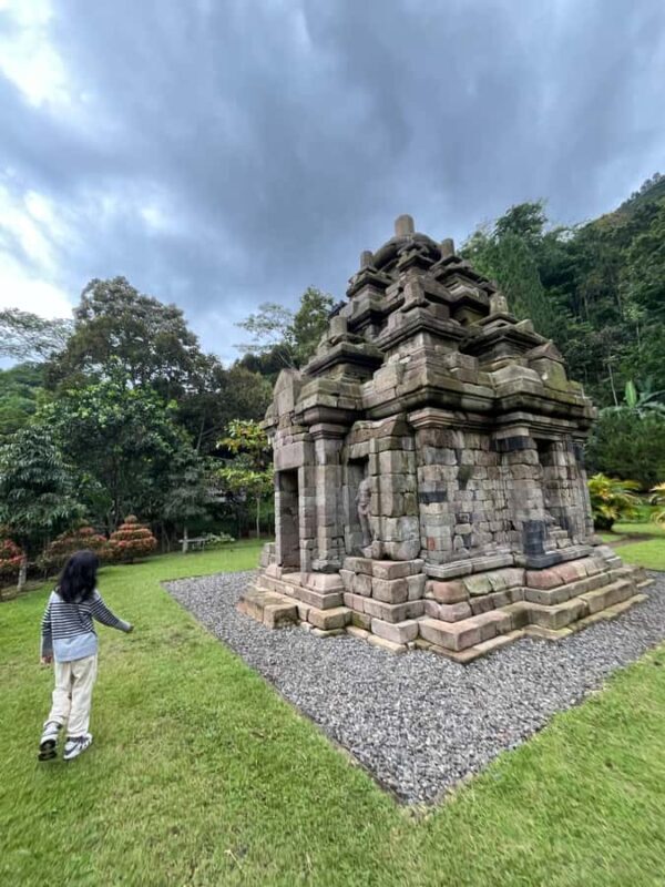 Selogriyo Temple Coffee Processing & Village Trekking Tour - Jungle Trekking and Scenic Views