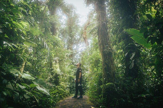 selvatura-hanging-bridges-admission-ticket